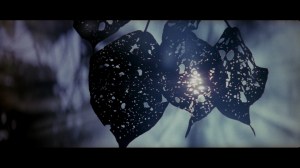 large_thin_red_line_blu-ray_9x